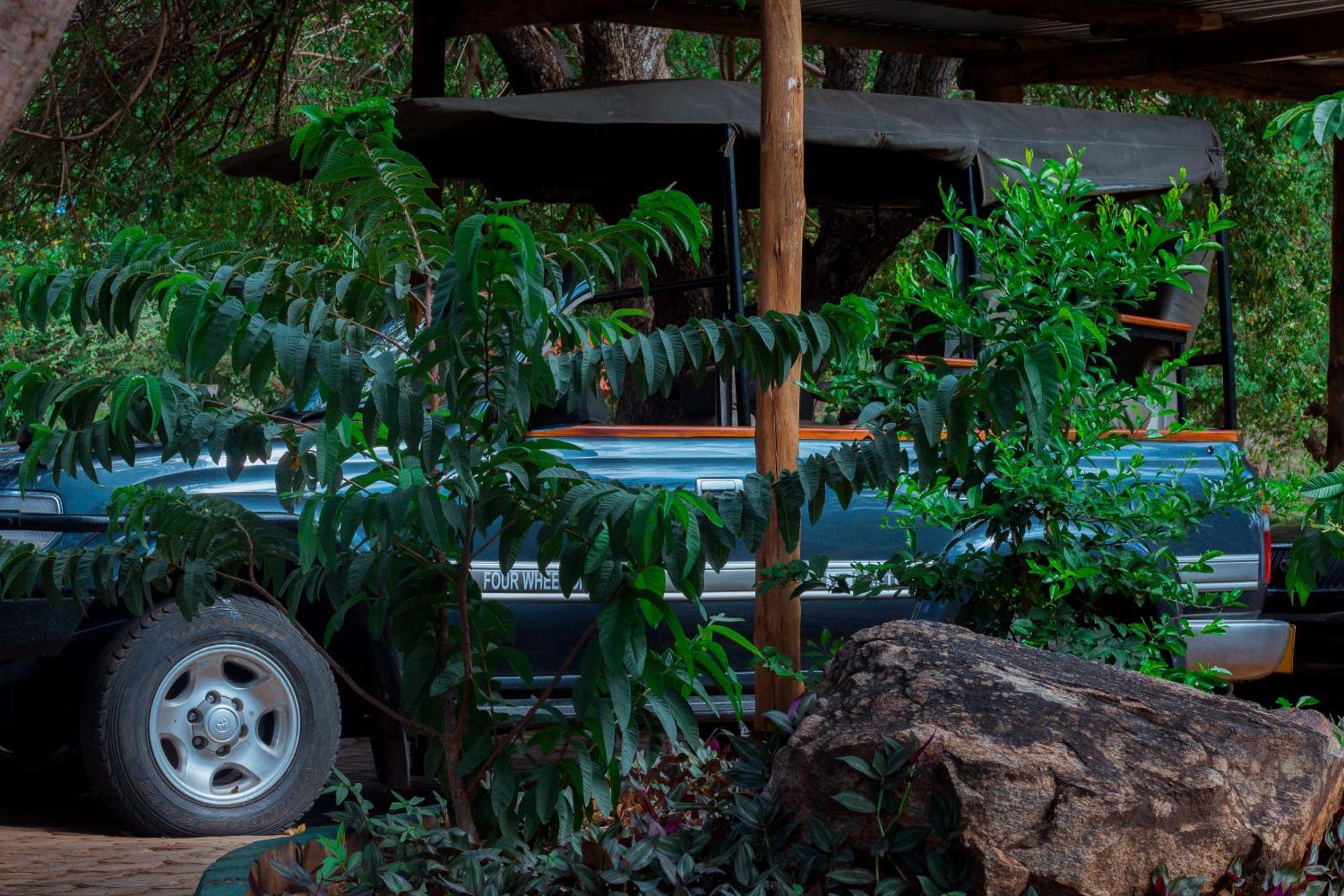 Mkomazi Hotels And Camps Hegoma المظهر الخارجي الصورة