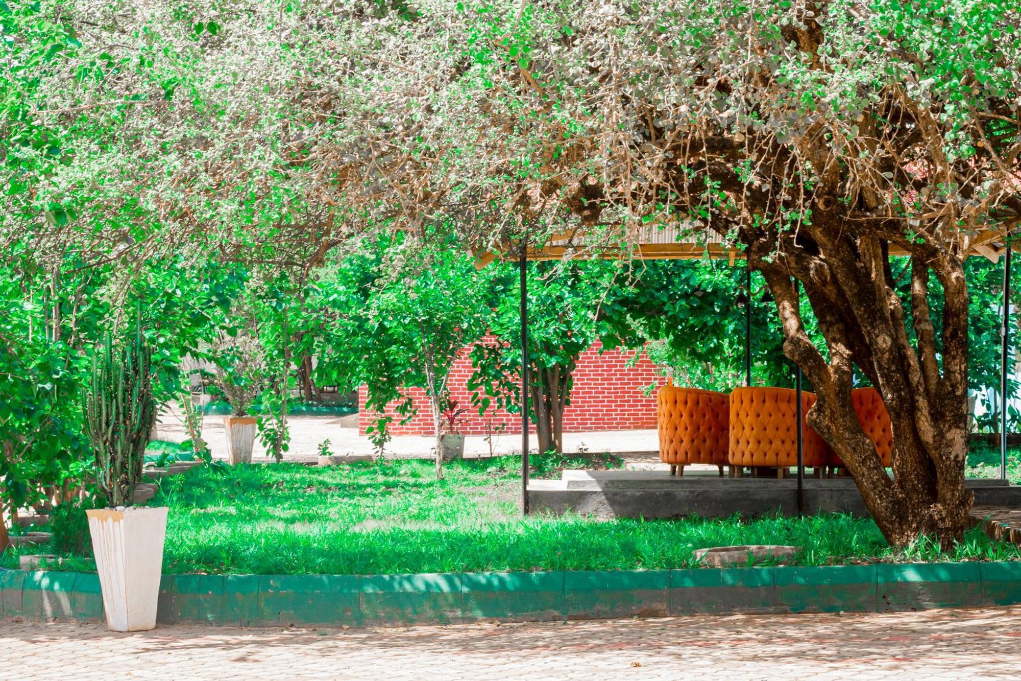 Mkomazi Hotels And Camps Hegoma المظهر الخارجي الصورة